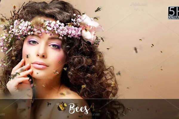 20 افکت پرواز زنبورهای عسل دوربری شده بر روی تصاویر با فرمت PNG