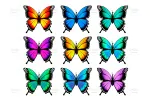وکتور پروانه و بک گراند پروانه ای - 13 وکتور پروانه و بک گراند پروانه ای - 13