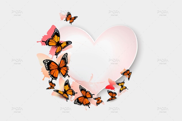 طرح وکتور قاب و فریم گل لاله ، پروانه و قلب رمانتیک و عاشقانه