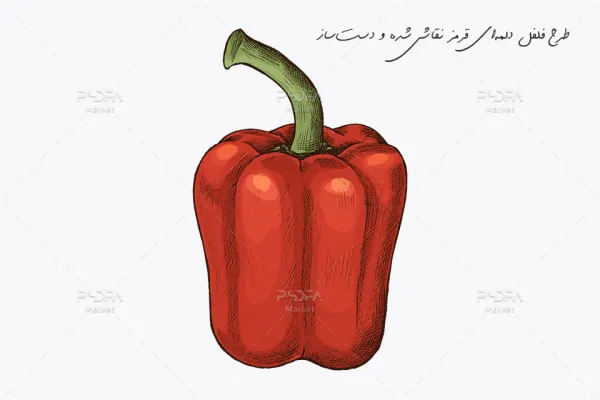 طرح فلفل دلمه‌ای قرمز - 7