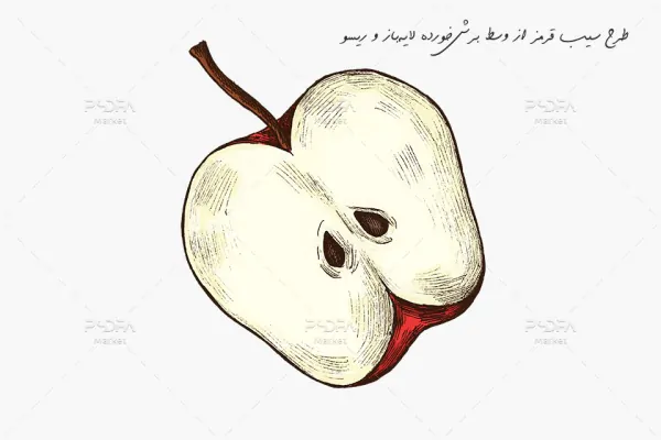 طرح سیب قرمز از وسط برش خورده لایه باز PSD رنگی و ریسو