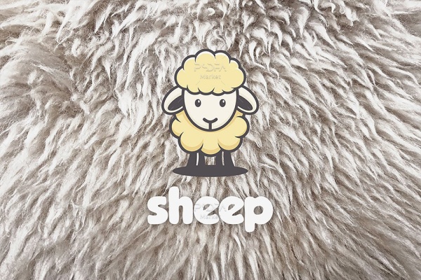 تکسچر پشم گوسفند