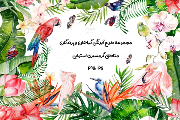 کلیپ آرت آبرنگی گیاهان و پرندگان گرمسیری