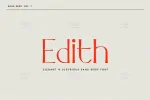 فونت انگلیسی سنس سریف Edith Sans - 14
