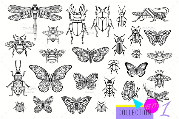 وکتور حشرات سوسک، مگس، پروانه، ملخ، زنبور، سنجاقک
