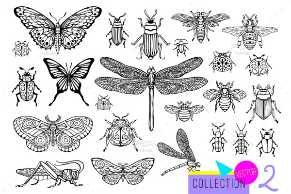 وکتور حشرات سوسک، مگس، پروانه، ملخ، زنبور، سنجاقک