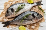 8 تصویر ماهی دورادو با لیمو و ادویجات
