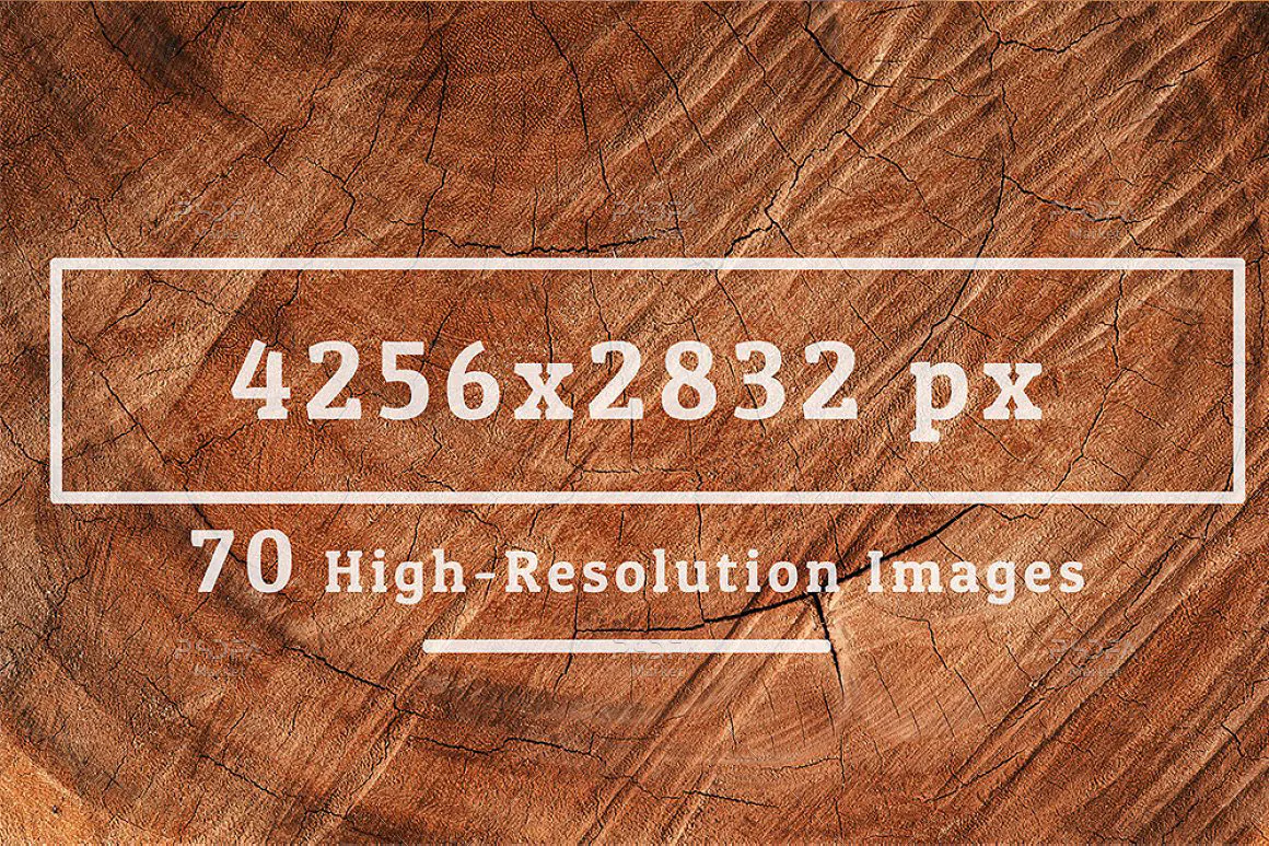 70 تکسچر چوب درخت با کیفیت بالا - تصویر 2 - 1 70 تکسچر چوب درخت با کیفیت بالا - تصویر 2 - 1