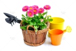تصویر استوک گل های بهاری و ابزار باغبانی