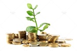 تصویر استوک مفهومی رشد جوانه گیاه درون سکه، پول و اسکناس