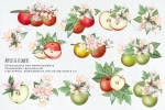 طرح نقاشی سیب و شکوفه به همراه پترن، قاب عکس و عناصر طراحی