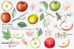 طرح نقاشی سیب و شکوفه