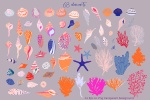 وکتور صدف و حلزون دریایی