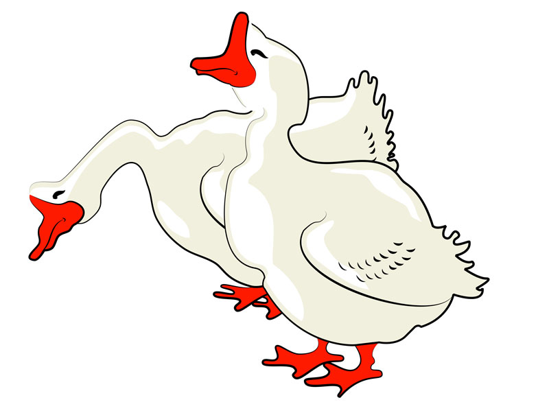 وکتور کارتونی اردک