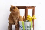 موکاپ ساک دستی پارچه ای
