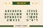تایپ فیس ورزشی Wildcat