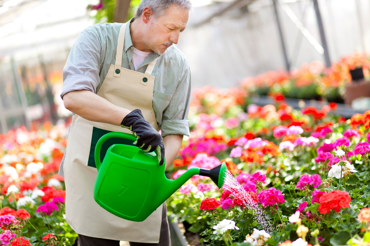 عکس استوک باغبان در حال آبیاری به گل ها