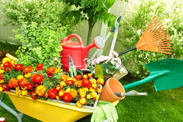 عکس استوک ابزار باغبانی و گل و گیاه
