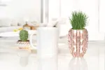 موکاپ ماگ سرامیکی شیک و لاکچری