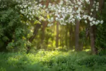 بک دراپ باغ بهاری برای عکاسی و آتلیه