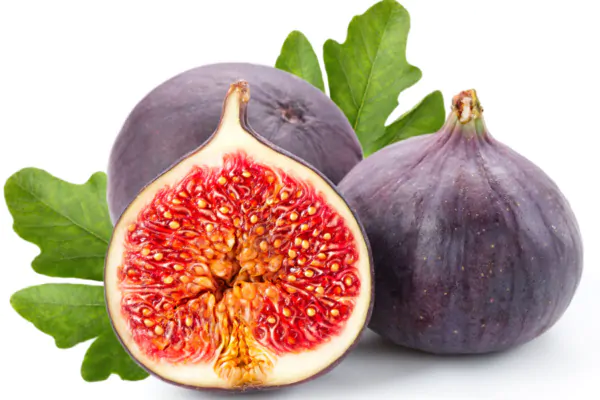 عکس انجیر سیاه با کیفیت بالا - 3
