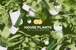 PNG گیاهان آپارتمانی 3D