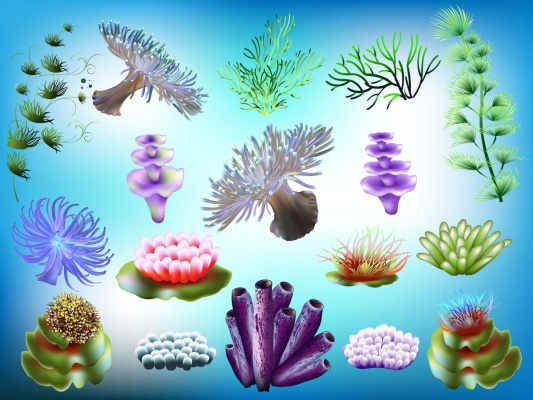 وکتور گیاهان دریایی