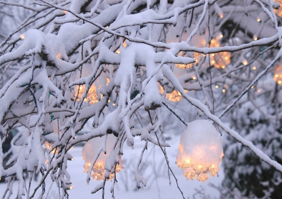 لامپ کریسمس روی درخت برفی