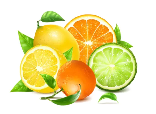 وکتور مرکبات پرتقال و آبمیوه