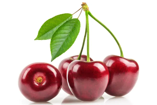 عکس استوک خوشه گیلاس با زمینه سفید