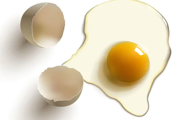 وکتور تخم مرغ شکسته – مدل 3
