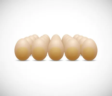 وکتور ردیف تخم مرغ