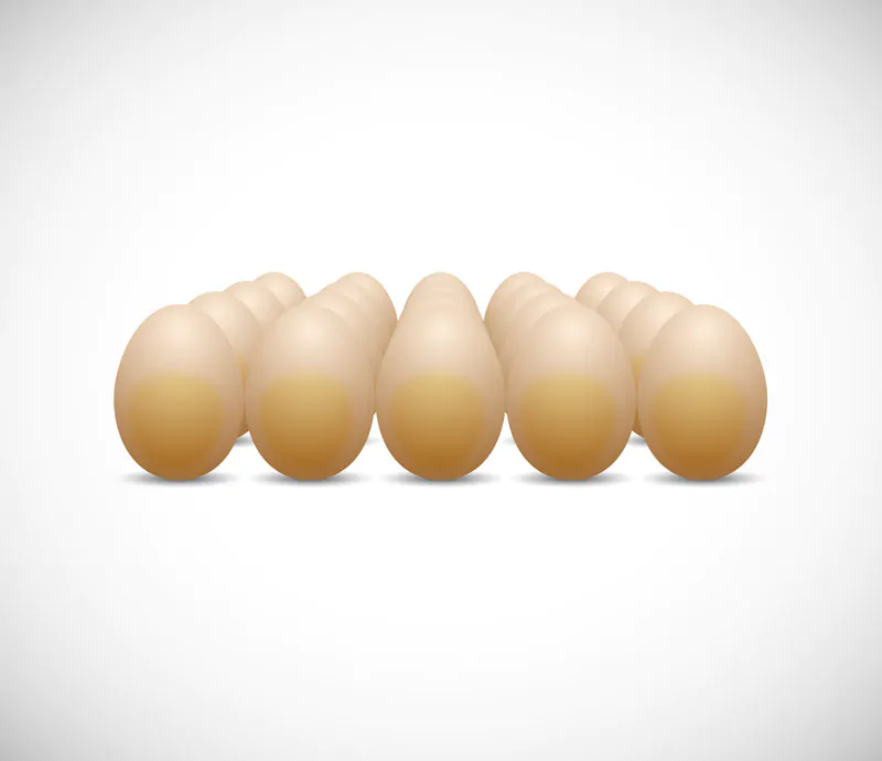 وکتور ردیف تخم مرغ