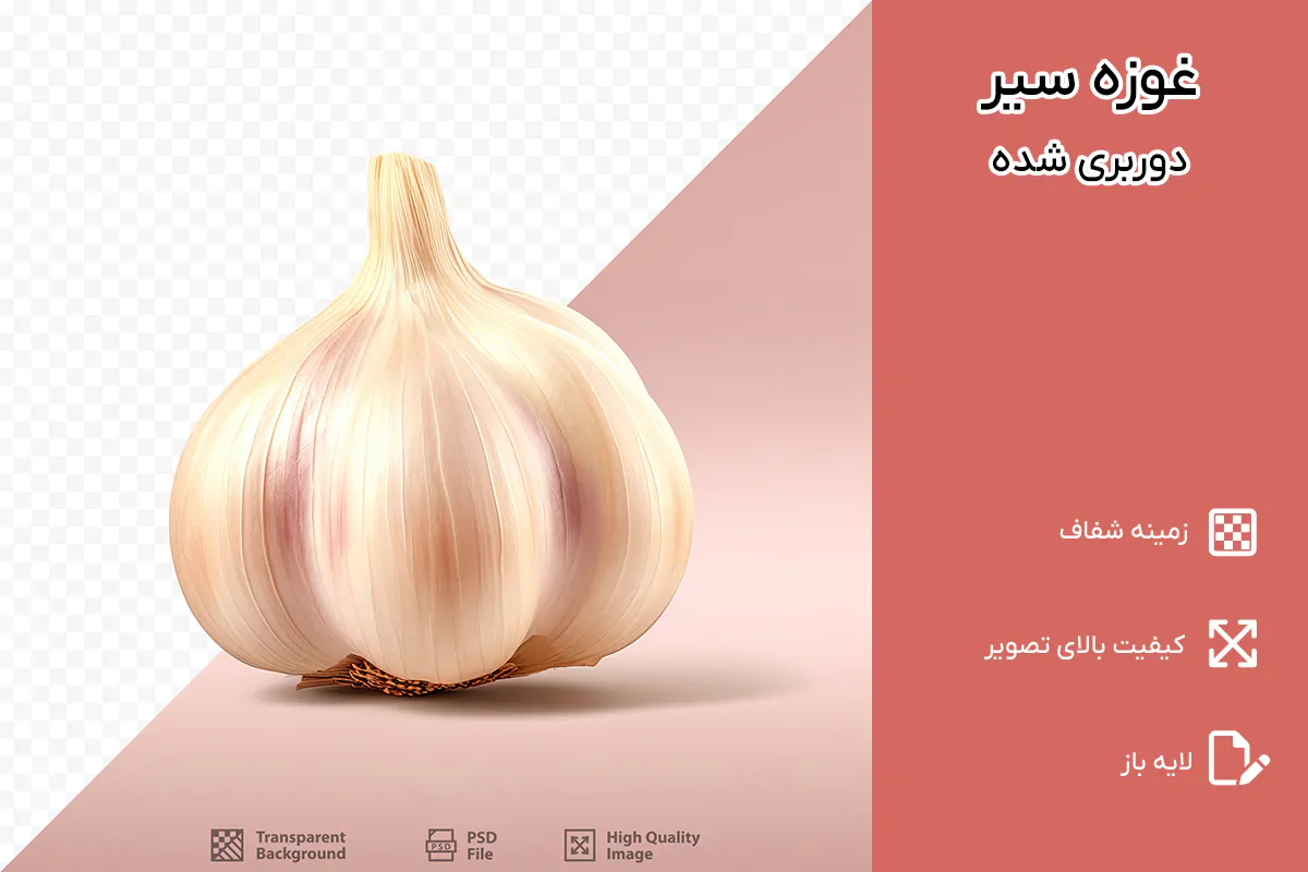 PNG غوزه سیر