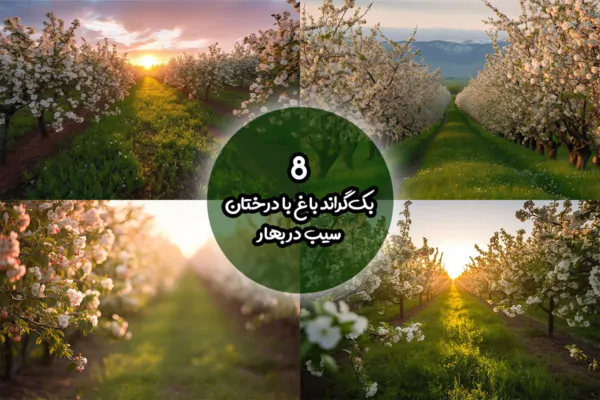 بک گراند باغ پر از شکوفه