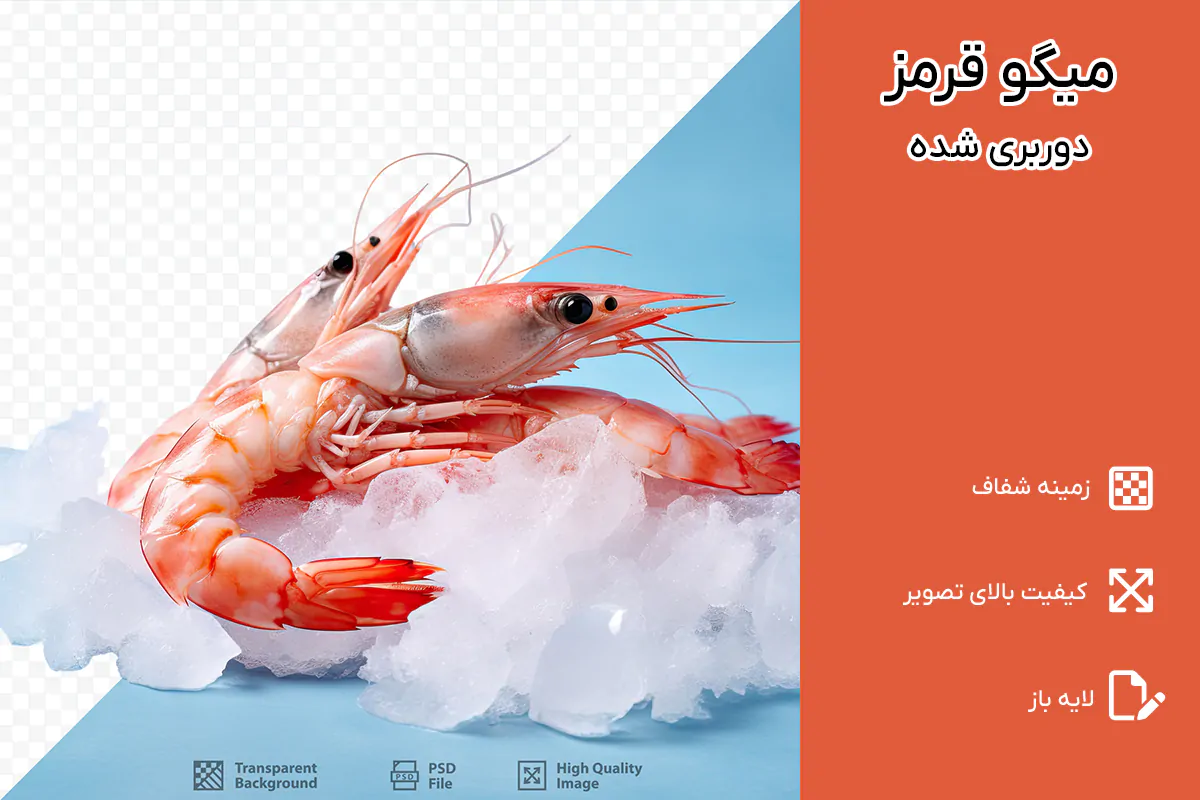 PNG میگو قرمز