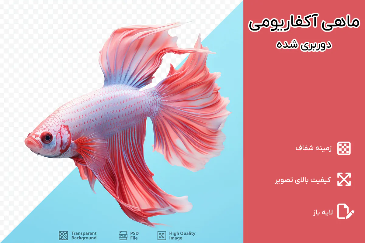 PNG ماهی آکواریومی