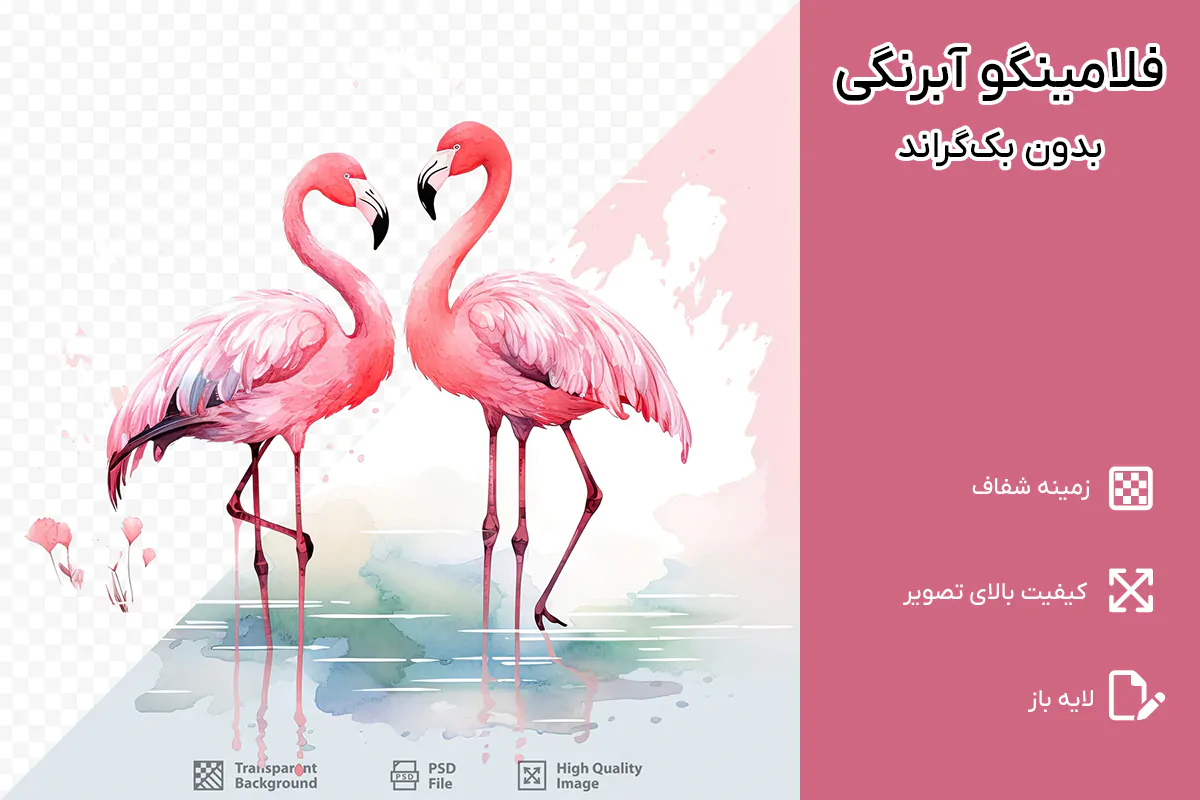 PNG فلامینگو با طرح آبرنگ