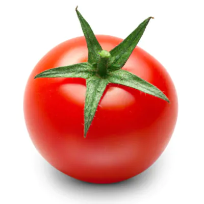 عکس استوک گوجه فرنگی