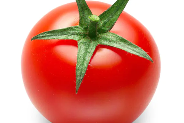 عکس استوک گوجه فرنگی