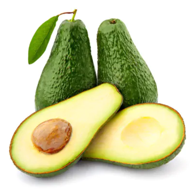 عکس استوک آواکادو