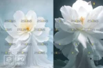 بک دراپ لباس گلدار