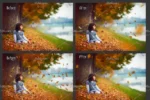 برگ های خزان و پائیزی
