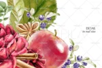 تصاویر کلیپ آرت سیب ، گل و چوب دارچین - 16