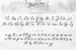 فونت دستنویس انگلیسی Bestowens - 21 فونت دستنویس انگلیسی Bestowens - 21