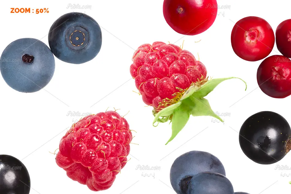 فایل لایه باز توت - 2 فایل لایه باز توت - 2