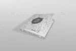 موکاپ جعبه پیتزا - 20